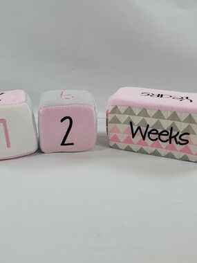 First Impressions Baby Girl Photo Milestone Age Block Set Pink/Gray